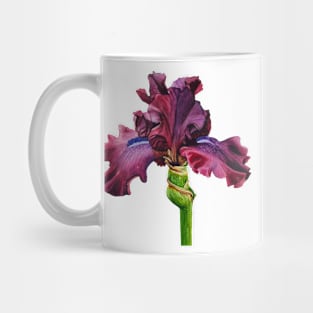 Purple Iris Mug